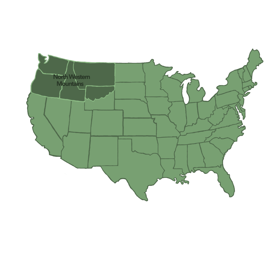 North West Forested Mountains Native Wildflower Seed Mix