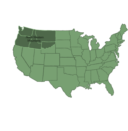 North West Forested Mountains Native Wildflower Seed Mix