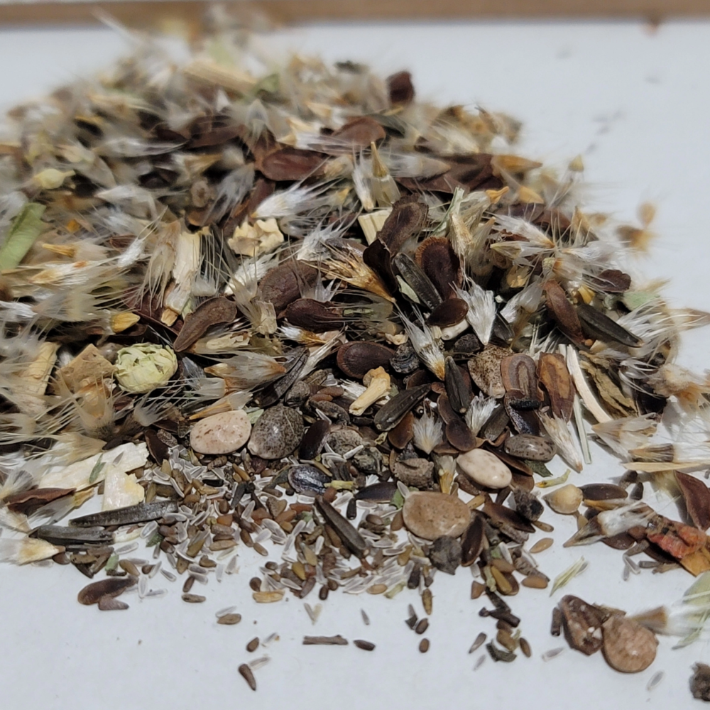 North West Forested Mountains Native Wildflower Seed Mix