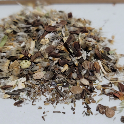 North West Forested Mountains Native Wildflower Seed Mix